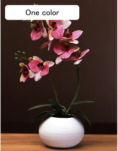  ͂Ȃ Ӓ tFCN A ԃCeA ~jԊ ϗtA  ԑ A { ȒPb炸  _ k    CeA