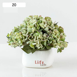 o ڂ AWTC  ͂Ȃ ԃCeA ϗtA   ԑA { ԕr lHA ϗtA ͂Ȃ k ins    CeA