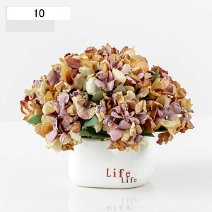 o ڂ AWTC  ͂Ȃ ԃCeA ϗtA   ԑA { ԕr lHA ϗtA ͂Ȃ k ins    CeA