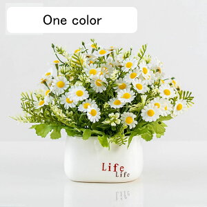 o ڂ AWTC  ͂Ȃ ԃCeA ϗtA   ԑA { ԕr lHA ϗtA ͂Ȃ k ins    CeA