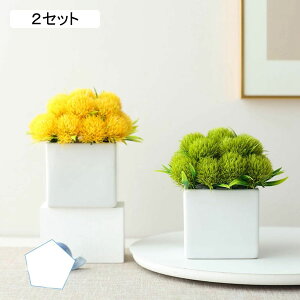 �l�H���{�[�� �}�[�K���b�g �q�i�M�N ���e ���ԃC���e���A �͂�Ȃ��� ������ �ϗt�A�� ���A�� �{���������� �����s�v �ԕr �k�� �A�[�g ins �� ������ �X �i���X �K�[�f�� �����u�� �ʐ^