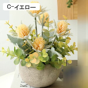 ԃCeA ۂ ݑ A u ~j ͂Ȃ  ϗtA A { ԕr k ins  hV̓ j  Mtgԑ CeAp