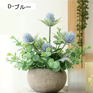 ԃCeA ۂ ݑ A u ~j ͂Ȃ  ϗtA A { ԕr k ins  hV̓ j  Mtgԑ CeAp