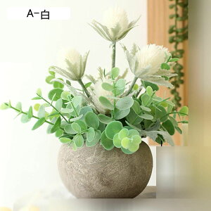 ԃCeA ۂ ݑ A u ~j ͂Ȃ  ϗtA A { ԕr k ins  hV̓ j  Mtgԑ CeAp