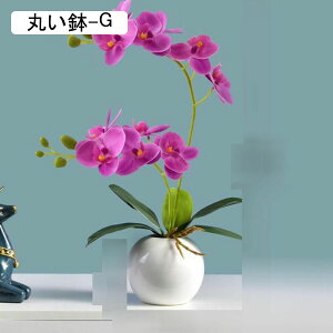  ͂Ȃ ~j Ӓ o x_[ ԃCeA ϗtA  A { ԕrt lH Q쏜sv  _ k ItBX 蕨 K[f