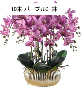 �Ӓ��� ���� �͂�Ȃ��� ���ԃC���e���A �ϗt�A�� ������ �ԑ����A�� �{���������� �~�j�Ԋ� �ϗt�A�� �l�H���� �����s�v �k���� ins ������� �p�[�e�B�[ �I�t�B�X ���蕨 �K�[�f������