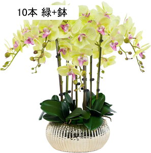 Ӓ  ͂Ȃ ԃCeA ϗtA  ԑA { ~jԊ ϗtA lH sv k ins  p[eB[ ItBX 蕨 K[f