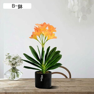  ͂Ȃ A 񂵂 픫 ԃCeA ϗtA  A { lH lHA sv k ins  u 蕨 ʐ^Be ̓