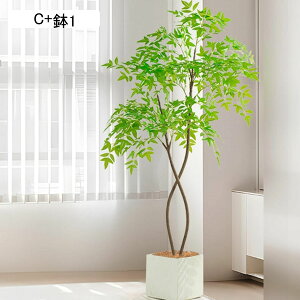 tFCNO[ ie lHt CeAO[ ^Ηt A ACr[K[h lHϗtA { ϗtA ȒPb炸 ͂Ȃ /O z[K[