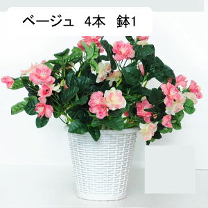  ͂Ȃ ԃCeA o XYmL ϗtA  A { ~jԊ lHA ϗtA ͂ȂO[ k ins 蕨 v[g p 