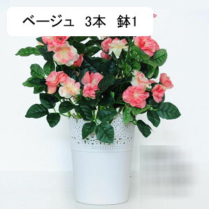  ͂Ȃ ԃCeA o XYmL ϗtA  A { ~jԊ lHA ϗtA ͂ȂO[ k ins 蕨 v[g p 