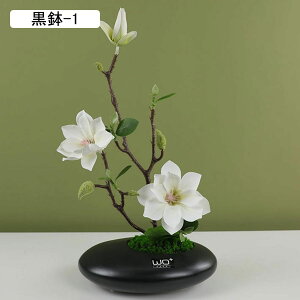 ԃCeA ͂Ȃ nNN  A[gt[ u t[AWg ϗtA A { bsv k A[g ins 蕨 v[g p 