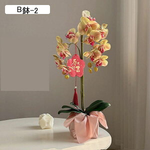 ԃCeA A A Ӓ ~jԊ ԑ ͂Ȃ  ϗtA A { bsv k A[g ins    CeA u fR[V