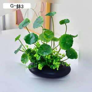 lHϗtA A A u Xe ACr[ |gX LM\E 񂵂 { CeAO[ tFCNO[ lHA ϗtA CeA EFf