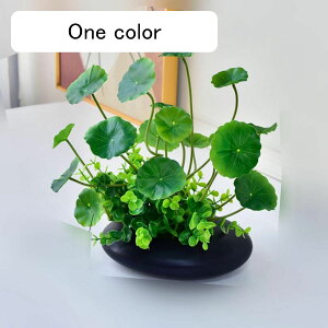 lHϗtA A A u Xe ACr[ |gX LM\E 񂵂 { CeAO[ tFCNO[ lHA ϗtA CeA EFf