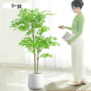 tFCNO[ ie AJV A lHϗtA CeAO[ ^ ͂ȂO[ { ϗtA lHt ȒPb炸 ͂Ȃ K[f K[f