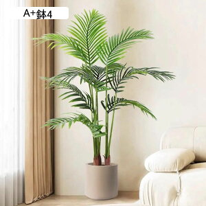 tFCNO[ AJV A ϗt A lHt ^ x_ K[fjO { ͂ȂO[ lHA CeAO[ bsv A  V