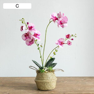 ԃCeA Ӓ A ԃJS A ͂Ȃ  ϗtA A { bsv ~jԊ  _ k   X iX K[f u 