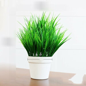 tFCNO[ CeAO[ lH{[ Ã{[ O[A{[ ԃCeA ϗtA A { =Q쏜sv k ins p 