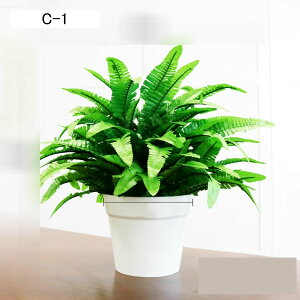 tFCNO[ CeAO[ lH{[ Ã{[ O[A{[ ԃCeA ϗtA A { =Q쏜sv k ins p 