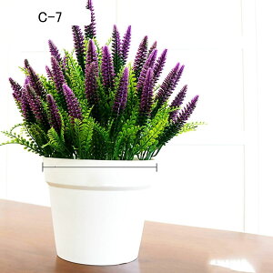 tFCNO[ CeAO[ lH{[ Ã{[ O[A{[ ԃCeA ϗtA A { =Q쏜sv k ins p 