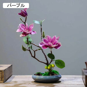 nNN ԃCeA u 픫 A[gt[ ԑ ͂Ȃ  ϗtA A { sv k ins  K[f u 蕨 ʐ^B