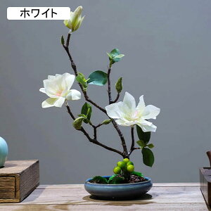 nNN ԃCeA u 픫 A[gt[ ԑ ͂Ȃ  ϗtA A { sv k ins  K[f u 蕨 ʐ^B