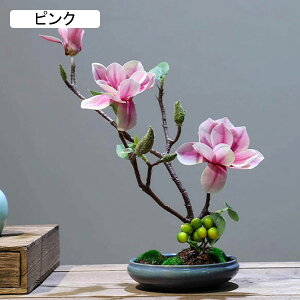 nNN ԃCeA u 픫 A[gt[ ԑ ͂Ȃ  ϗtA A { sv k ins  K[f u 蕨 ʐ^B