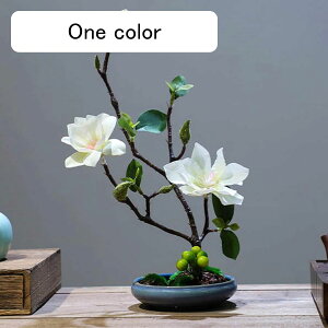 nNN ԃCeA u 픫 A[gt[ ԑ ͂Ȃ  ϗtA A { sv k ins  K[f u 蕨 ʐ^B