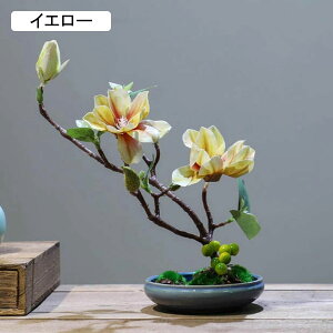 nNN ԃCeA u 픫 A[gt[ ԑ ͂Ȃ  ϗtA A { sv k ins  K[f u 蕨 ʐ^B