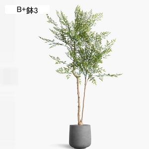 tFCNO[ ie lHϗtA CeAO[ A { ^Ηt lHt lHA ϗt bsv k ins  CeA EFfBO