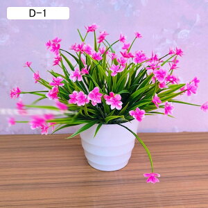 lHA  ͂Ȃ ϗtA A ԃCeA A { ~jԊ  _ k   X iX K[f u 蕨 ʐ^Be