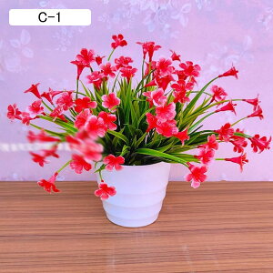 lHA  ͂Ȃ ϗtA A ԃCeA A { ~jԊ  _ k   X iX K[f u 蕨 ʐ^Be