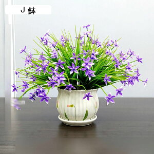  ͂Ȃ JX~\E ԃCeA ϗtA  ԑA { ԕrt lHA ϗtA ȒPb炸  _ k u 蕨 ʐ^Be