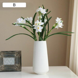 ԃCeA   ԑ ԑ ͂Ȃ ԕrt  tFCN ϗtA A { Q쏜sv k ins  蕨 v[g p  u[