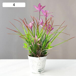 ԃCeA A XK ԃO[ ͂Ȃ u  ϗtA { sv k A[g ins 蕨 v[g p  u[P K[fjO