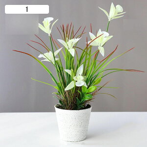 ԃCeA A XK ԃO[ ͂Ȃ u  ϗtA { sv k A[g ins 蕨 v[g p  u[P K[fjO