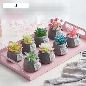 tFCNO[ ~j A A lHϗtA CeAO[ lHt ^Ηt { ϗtA lHA ͂Ȃ sv t[Mtg A 