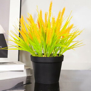 ԃZbg ԃCeA |gX 񂵂 ݑ ԑ ͂Ȃ  ϗtA A { sv ~jԊ  _ k hV̓ j 