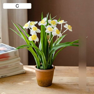 ԃCeA x_[ XY  ͂Ȃ A  ϗtA { sv k A[g ins   iX  K[f u 蕨 ʐ^B