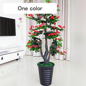 lHϗtA A ʕ  A  { CeAO[ tFCNO[ ^ ͂Ȃ lHA ϗt ϗtA ̓ hV̓ j NX