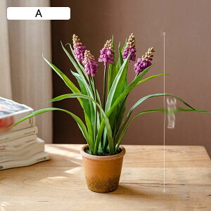 qVX ԃCeA XY ͂Ȃ A XCZ  ϗtA A { ԕr Q쏜sv  _ k ̓ CeA 蕨 x_ 