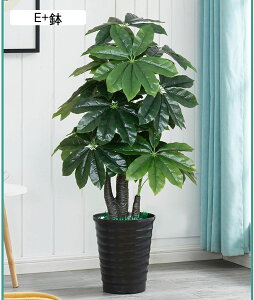 tFCNO[ pL Xe̗t hZi lHϗtA CeAO[ A { ͂ȂO[^Ηt lHt ϗt sv  _ k 