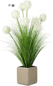 ԃCeA AWTC ۂ ԃO[ A ԑ ͂Ȃ u  ϗtA A { Q쏜sv k ins  hV̓ j  Mtg