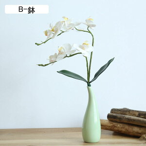 ԃCeA Ӓ ~jԊ ͂Ȃ  ϗtA A[gt[ A { Q쏜sv  _ A k 蕨 v[g p  u[P