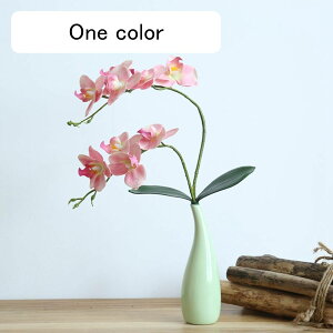 ԃCeA Ӓ ~jԊ ͂Ȃ  ϗtA A[gt[ A { Q쏜sv  _ A k 蕨 v[g p  u[P