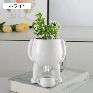 tFCNO[ O[A u^ CeAO[ ^Ηt A  lHϗtA { lHt ȒPb炸 ͂Ȃ A ԉ fR[V