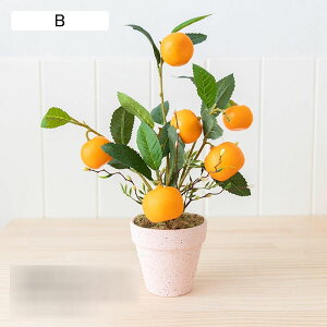 tFCNO[ A ʕ   u ϗt u lHt ~j A lHϗtA { ϗtA lHA ͂Ȃ  LO  Mtg