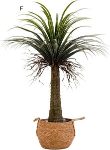  tFCNO[ Mъϗt CeAO[ ^Ηt A lHϗtA { lHA ϗt lHt ȒPb炸 ͂Ȃ /O