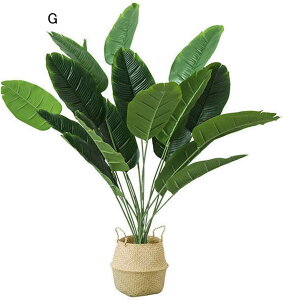 tFCNO[ Xe̗t |gX A lHt ^ Mъϗt lHϗtA { ϗtA lHA ϗt ͂ȂO[  LO  Mtg